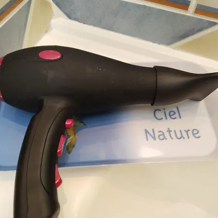 île De Ré , Maison De Typique Rétaise Au Bois-plage Le Bois-Plage-en-Ré